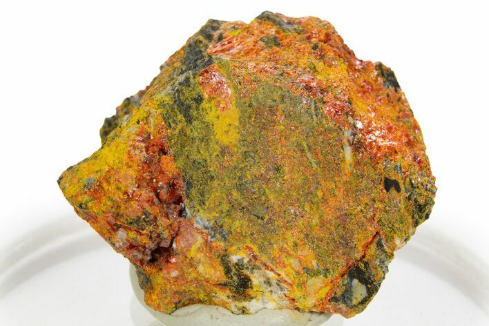 Vibrant Orpiment and Realgar Association - Nevada #331786